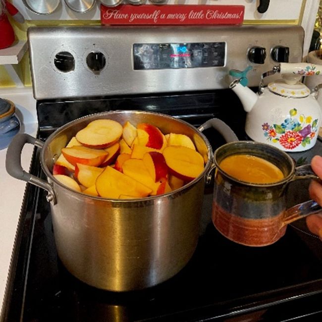 Making applesauce on a stove