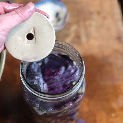 Fermenting in Mason Jars