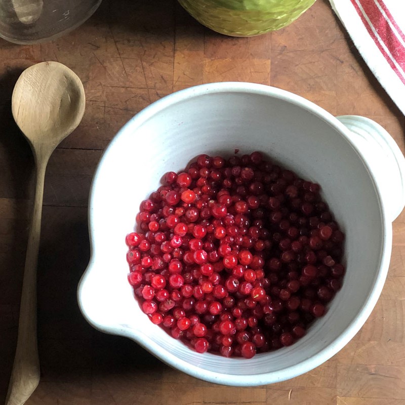 currants in bowl